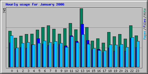 Hourly usage for January 2006